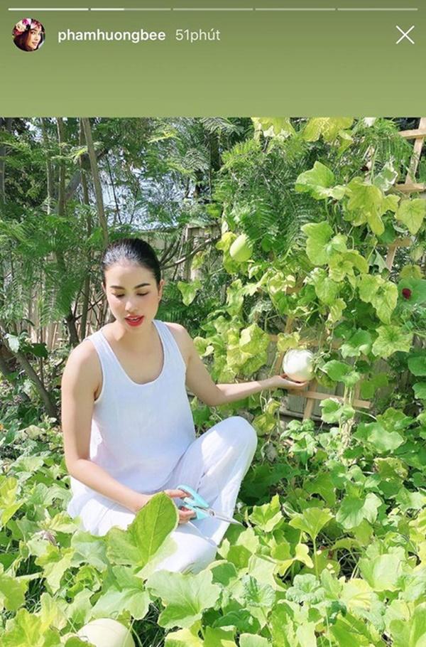 Phạm Hương lộ body tăng cân thấy rõ: Người ta càng gầy càng đẹp, mẹ bỉm có da có thịt lại càng xinh hơn mới hay-2