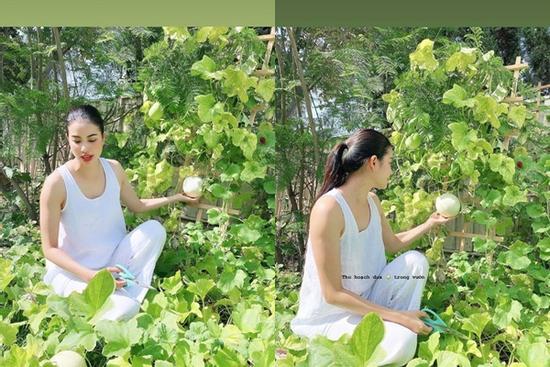 Phạm Hương lộ body tăng cân thấy rõ: Người ta càng gầy càng đẹp, 'mẹ bỉm' có da có thịt lại càng xinh hơn mới hay