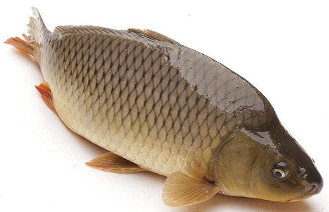 Gà không thể nấu chung với những thực phẩm này, bạn đã biết chưa?-2