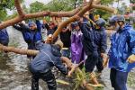 Thêm 2 nạn nhân tại Thừa Thiên - Huế tử vong vì bão số 5-2