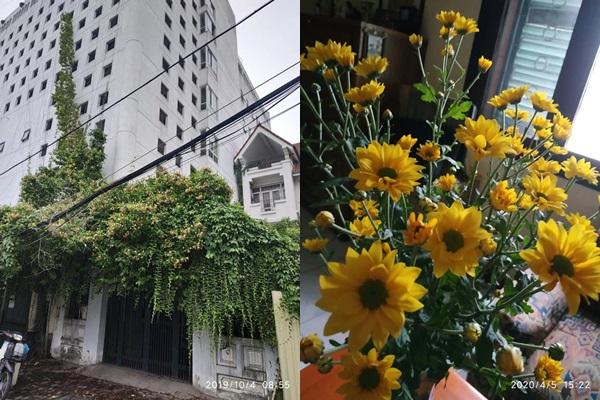 Đọ cơ ngơi dàn MC kỳ cựu, ai mới là đại gia ngầm của VTV?-3