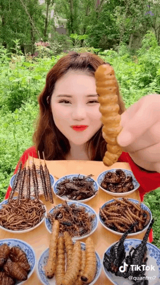 Loạt trào lưu kinh dị dạy hư giới trẻ bị dân mạng chỉ trích dữ dội-3