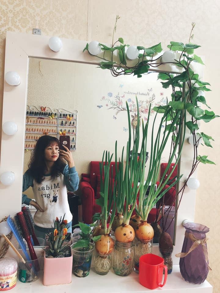 Cô nàng dở khóc dở cười nhìn khoai lang bonsai trồng trong nhà hóa giàn cây cao bóng cả-2