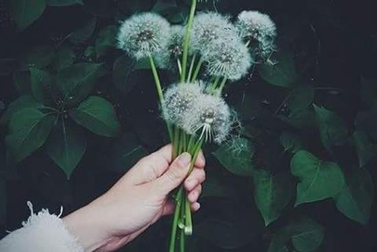 Thứ 3 ngày 22/9/2020 con giáp nào nhận lộc trời cho, tiền vào đầy túi?