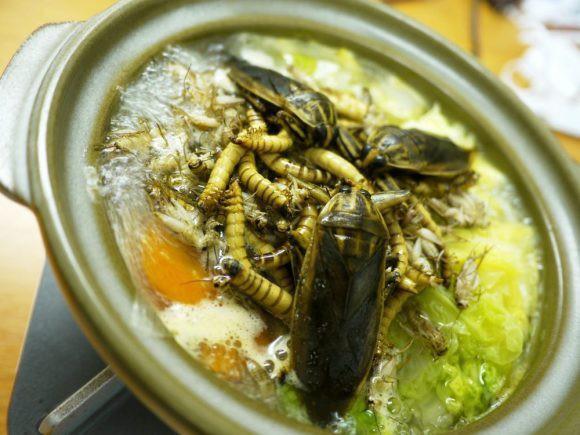 Ám ảnh món mồi nhắm gián sấy khô, dân nhậu vừa ăn vừa xuýt xoa ngon hết nấc-4