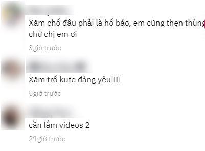 Xôn xao dàn phù dâu toàn đàn ông, mặc váy mà xăm trổ như vườn thú-5