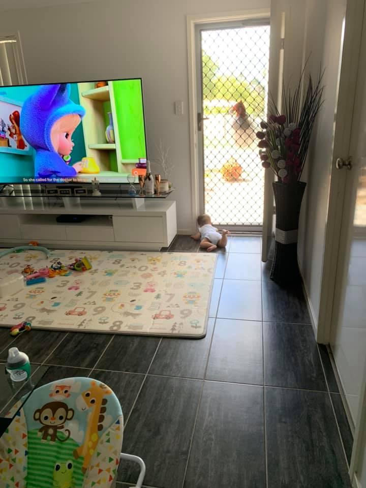 Không gian sống của chồng cũ Phi Thanh Vân và vợ doanh nhân tại Úc-14