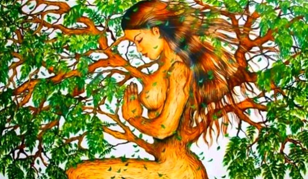 Bạn nhìn thấy cô gái hay cái cây? Câu trả lời tiết lộ bạn hướng nội hay hướng ngoại?-1