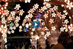 Công viên ở Singapore treo 1.500 đèn lồng đón Trung Thu