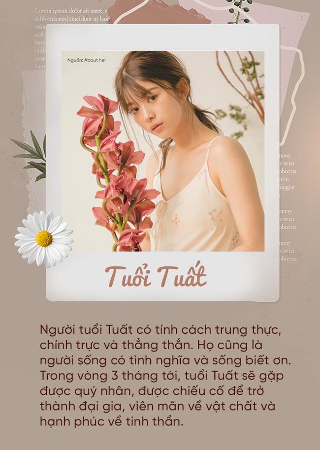 Trong vòng 3 tháng tới, 12 con giáp sẽ có vận may lội ngược dòng-11