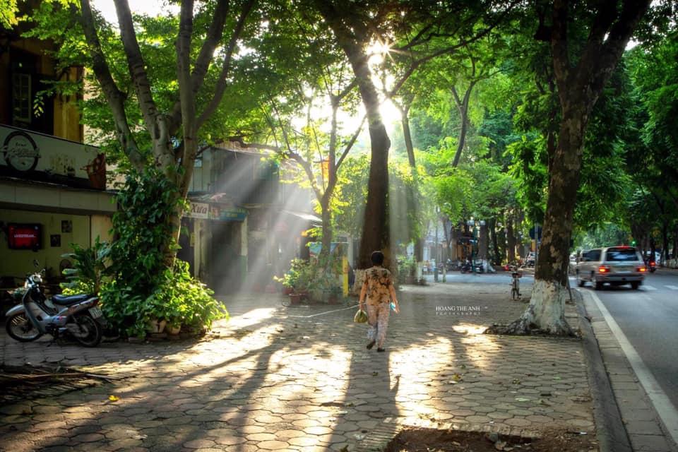 Gió lạnh đầu mùa khiến Hà Nội bỗng đẹp đến si mê-2