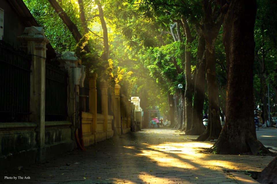 Gió lạnh đầu mùa khiến Hà Nội bỗng đẹp đến si mê-3