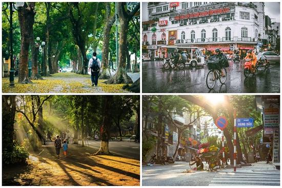 Gió lạnh đầu mùa khiến Hà Nội bỗng đẹp đến si mê