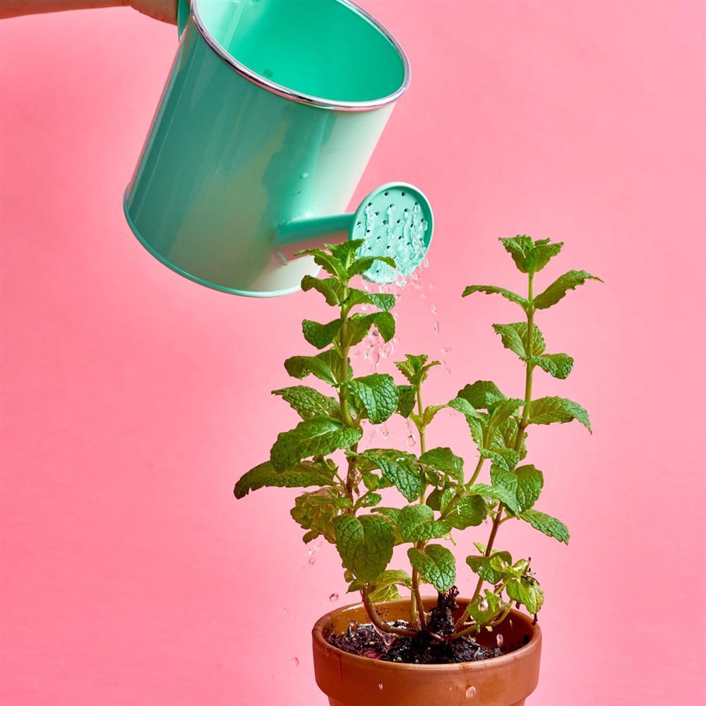 Thứ sáu ngày 25/9/2020: Con giáp nào rồi sẽ đau đầu vì tình duyên?-3