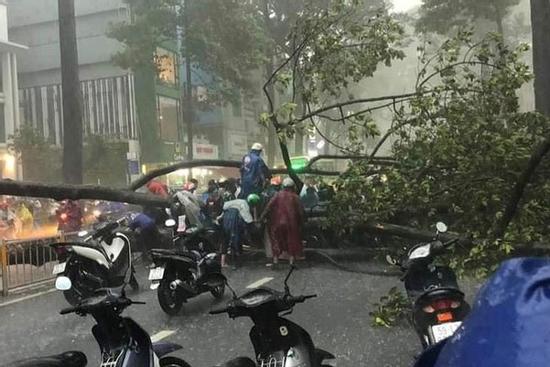 Cây ở TP. HCM đổ làm một người bị thương