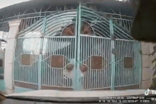 Vụ bố chồng đánh con dâu và 2 cháu nội nguy kịch: Con dâu đang mang thai, bé gái 4 tuổi vỡ sọ, tiên lượng xấu-2