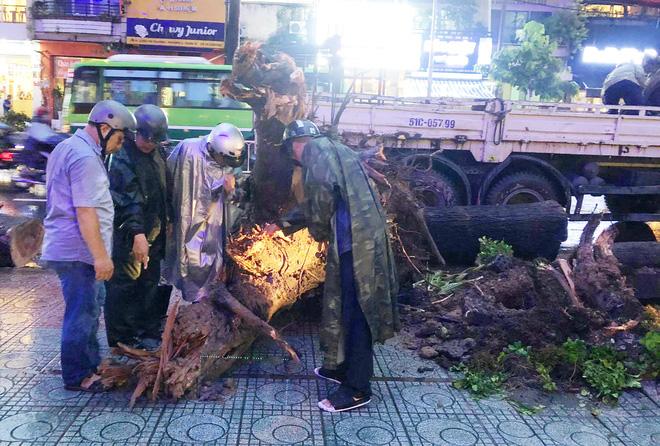 Gia cảnh nạn nhân bị cây xanh đè tử vong ở Sài Gòn: 2 vợ chồng thất nghiệp, con chưa đầy 4 tuổi-4