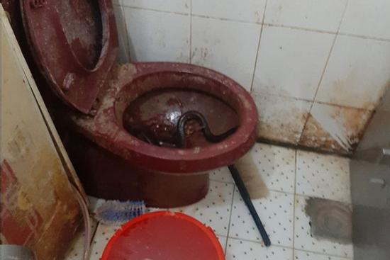 Bí mật lò bánh mì nổi tiếng Sài Gòn: Giòi và cả 'bé na' ngoe nguẩy, nhân bánh thịt bò ôi thiu?