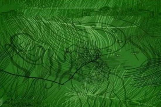 Hình ảnh đầu tiên nhìn thấy tiết lộ tại sao cuộc sống của bạn không hạnh phúc