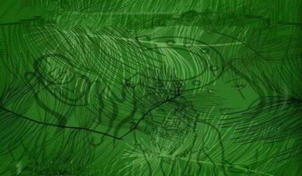 Hình ảnh đầu tiên nhìn thấy tiết lộ tại sao cuộc sống của bạn không hạnh phúc-1