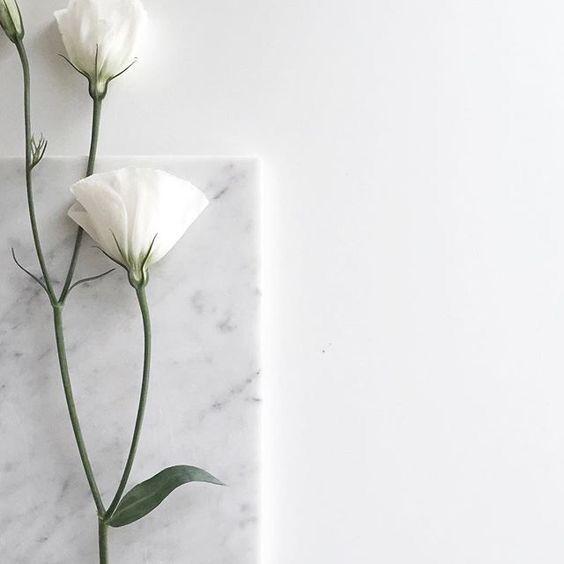 Thứ Hai ngày 28/9: Sửu sức khỏe suy giảm, Hợi bị tiểu nhân ngáng đường-4