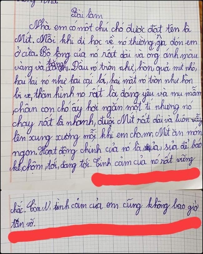 Học sinh tiểu học tả thú cưng, cô giáo chấm 1 điểm còn đòi gặp phụ huynh gấp-2