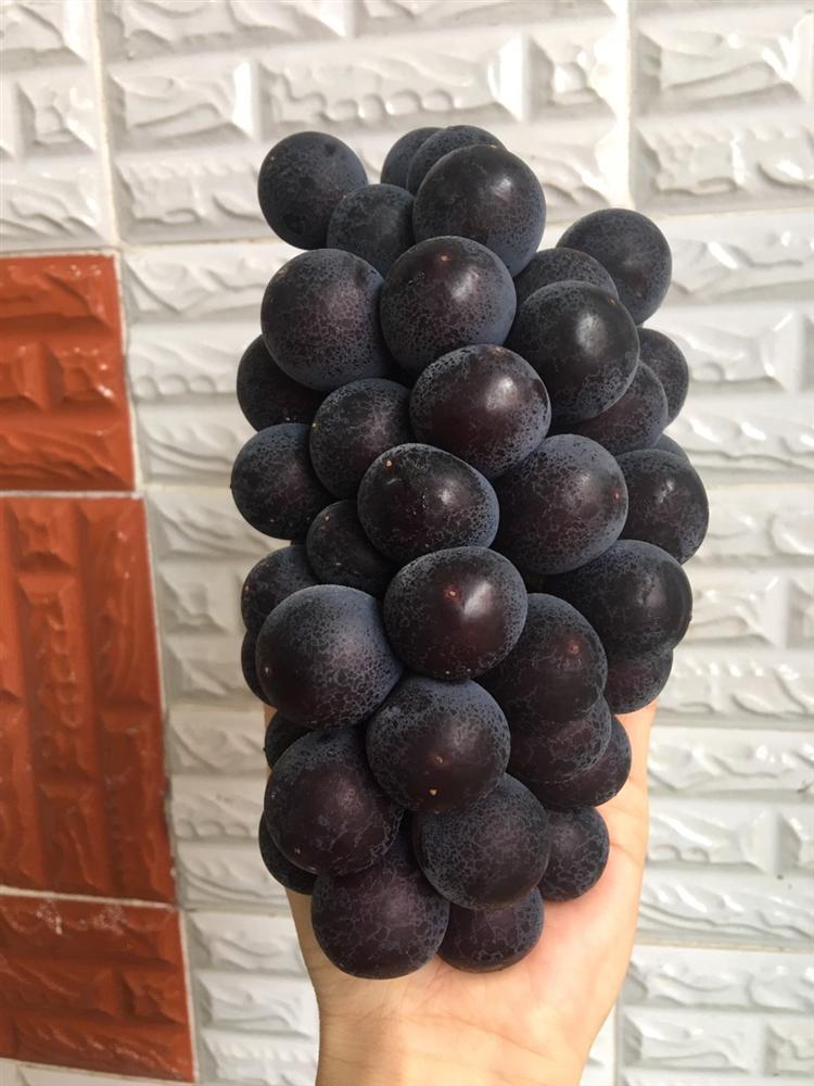 Phát hiện chồng đẹp trai có gái tán tỉnh, vợ cao tay đào mỏ tiểu tam suốt cả tháng trời-2