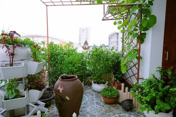 Bí ẩn chủ nhân căn biệt thự phủ gỗ từ đầu tới chân ở Hà Nội gây xôn xao-8