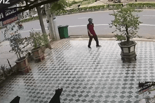 Clip: Bị 2 con chó dữ xồ ra định cắn, người đàn ông bất ngờ xuất chiêu khiến tất cả ngỡ ngàng-1