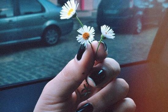 Tử vi thứ Sáu ngày 2/10/2020 của 12 con giáp: Tý họa thị phi, Sửu tình cảm hanh thông