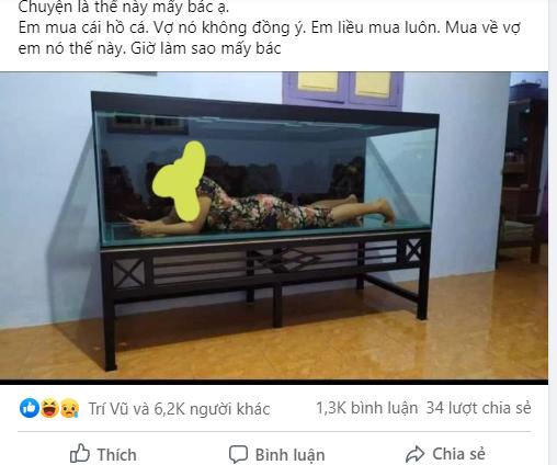 Cãi lời vợ, liều mua bể cá, vừa về đến nhà, chồng thất kinh khi thấy cảnh tượng...-1