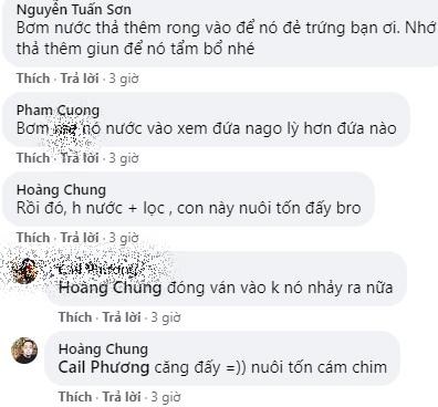 Cãi lời vợ, liều mua bể cá, vừa về đến nhà, chồng thất kinh khi thấy cảnh tượng...-4