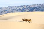 Con đường xuyên sa mạc dài nhất tại Trung Quốc-1
