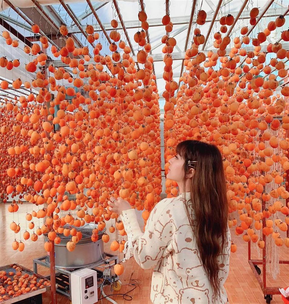 Hồng treo gió, món ngon tuyệt cú mèo làm rất dễ, ai cũng nên thử một lần-3