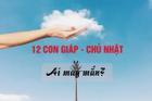 Tử vi Chủ nhật ngày 4/10/2020 của 12 con giáp: Mão cẩn thận tiền bạc, Thìn tình duyên như ý