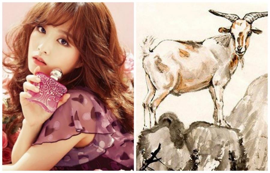 Tuần mới những con giáp cầu được ước thấy, làm việc gì tiền cũng đầy túi-3