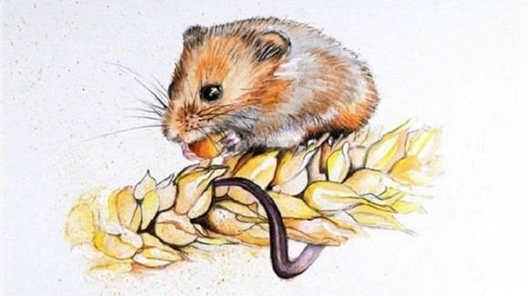 Tuần mới những con giáp cầu được ước thấy, làm việc gì tiền cũng đầy túi-1