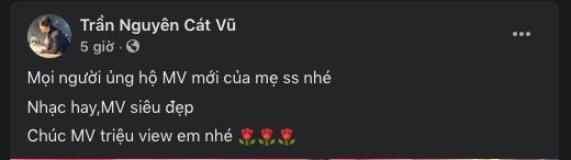 Tim hết lòng ủng hộ Trương Quỳnh Anh dù đã ly hôn-4