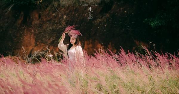 Đồi cỏ hồng Đuôi Chồn đẹp như tranh vẽ ở Đà Lạt, check-in cứ ngỡ ở Xứ hoa Anh Đào-4
