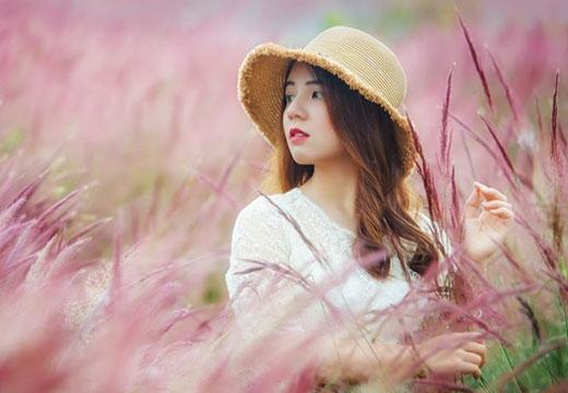 Đồi cỏ hồng Đuôi Chồn đẹp như tranh vẽ ở Đà Lạt, check-in cứ ngỡ ở Xứ hoa Anh Đào-8