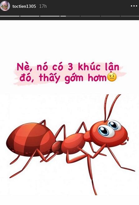 Tóc Tiên mong muốn sở hữu vòng eo con người thay vì chuẩn mực eo con kiến-3