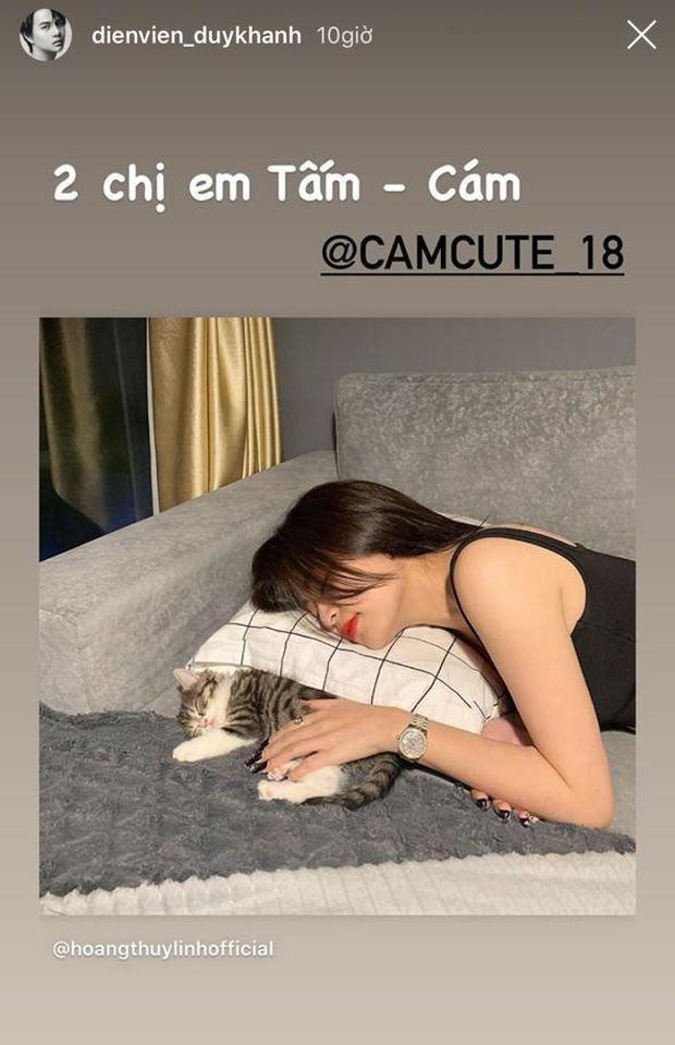 Gil Lê - Hoàng Thùy Linh ngày càng chứng tỏ sự tâm đầu ý hợp-2