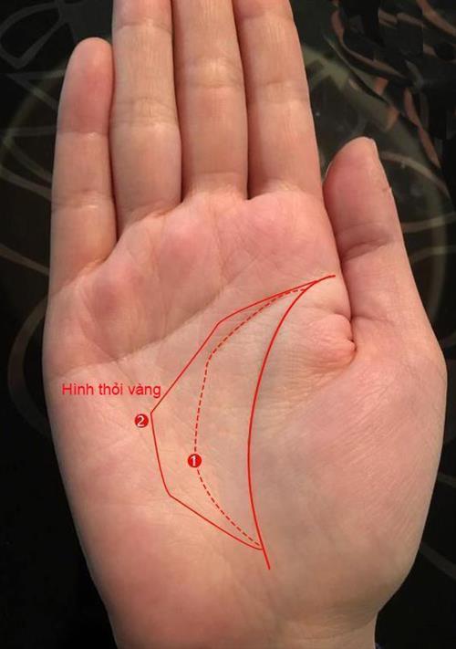 Lòng bàn tay có những nét tướng này, sinh ra đã có số phú quý, muốn nghèo cũng khó-3