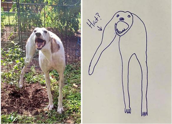 Bức tranh xấu điên đảo đánh bại mọi đối thủ, giật giải quán quân cuộc thi vẽ chó-2
