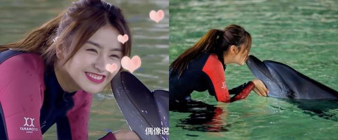 Nghệ sĩ Trung Quốc bị phản ứng vì hôn cá heo-1