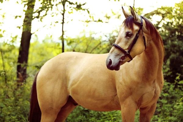 Tài lộc tăng vọt, những con giáp có thể trúng mánh lớn vào tháng 10-2