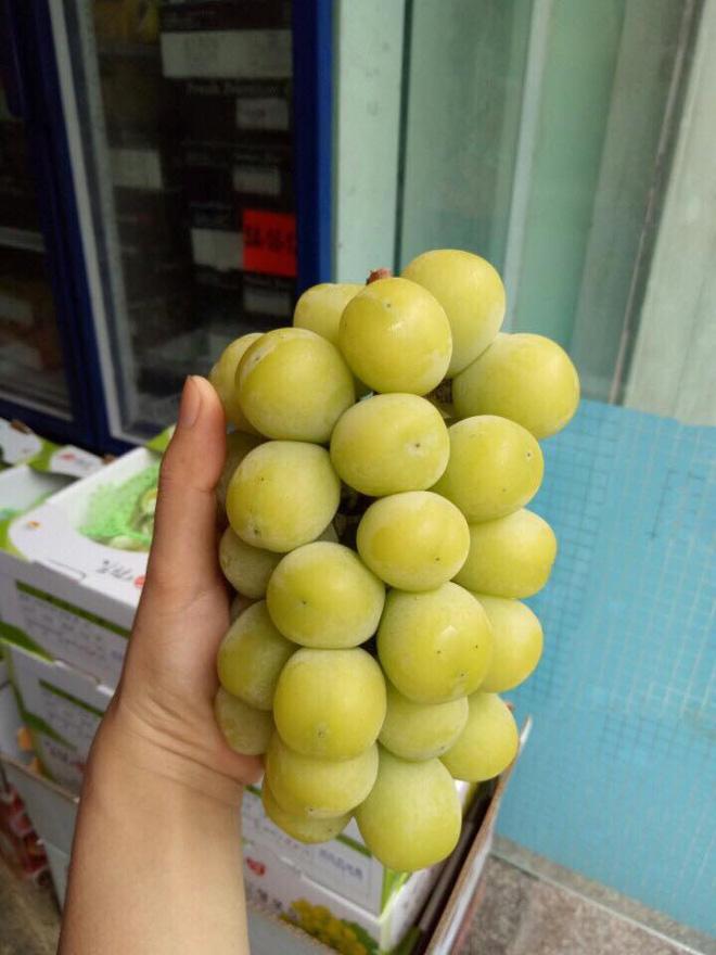 Chỉ vì không biết nho single mom là gì, chủ shop hoa quả phát khóc vì bị khách mắng nhiếc-1