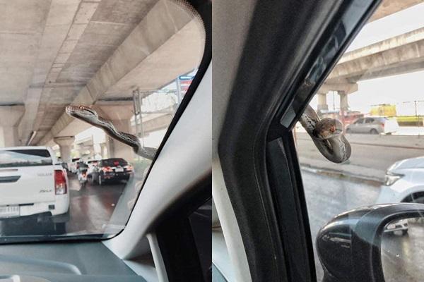 Clip bé Na đu đưa tắm vòi hoa sen khiến ai thấy cũng tái xanh mặt-4