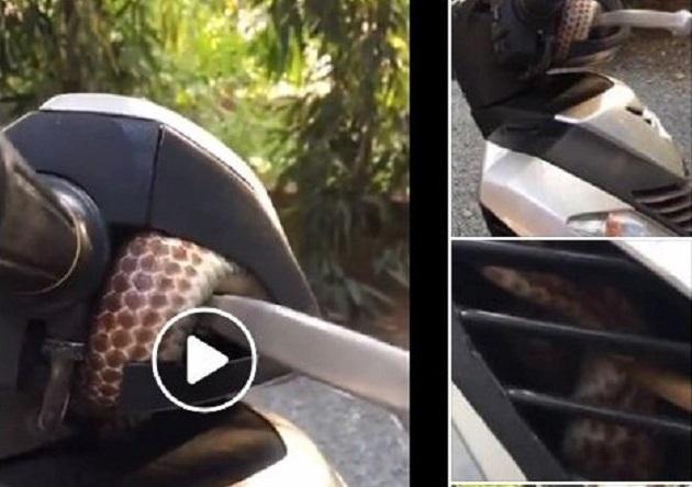 Clip bé Na đu đưa tắm vòi hoa sen khiến ai thấy cũng tái xanh mặt-3