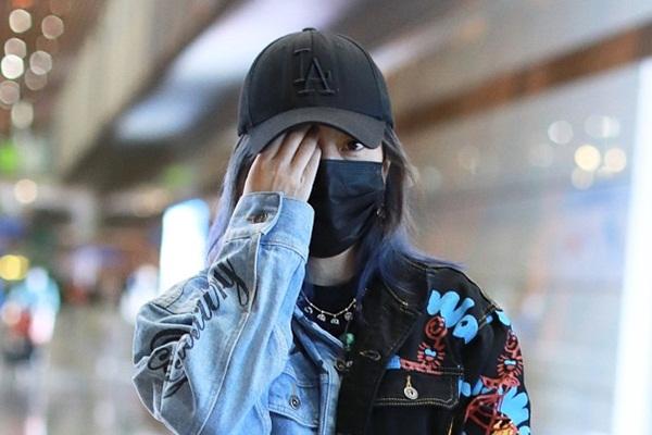 Triệu Vy bị xử thua 102 vụ kiện-2